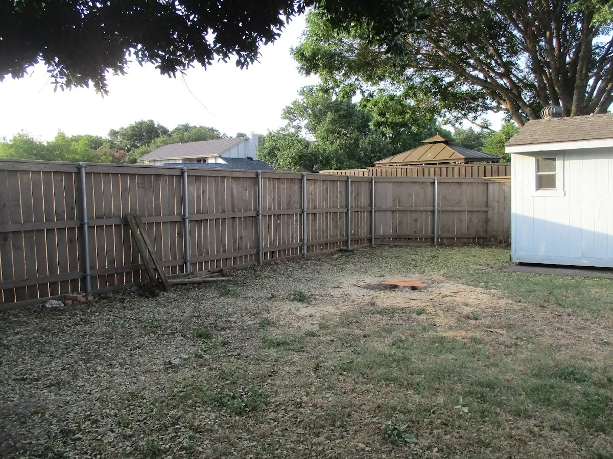 Cleared yard after professional tree removal in Island Heights